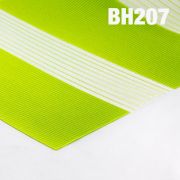 Wzór BH207